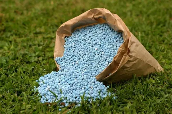 سوپر جاذب معدنی ارگانیک کشاورزی کیلویی + خرید